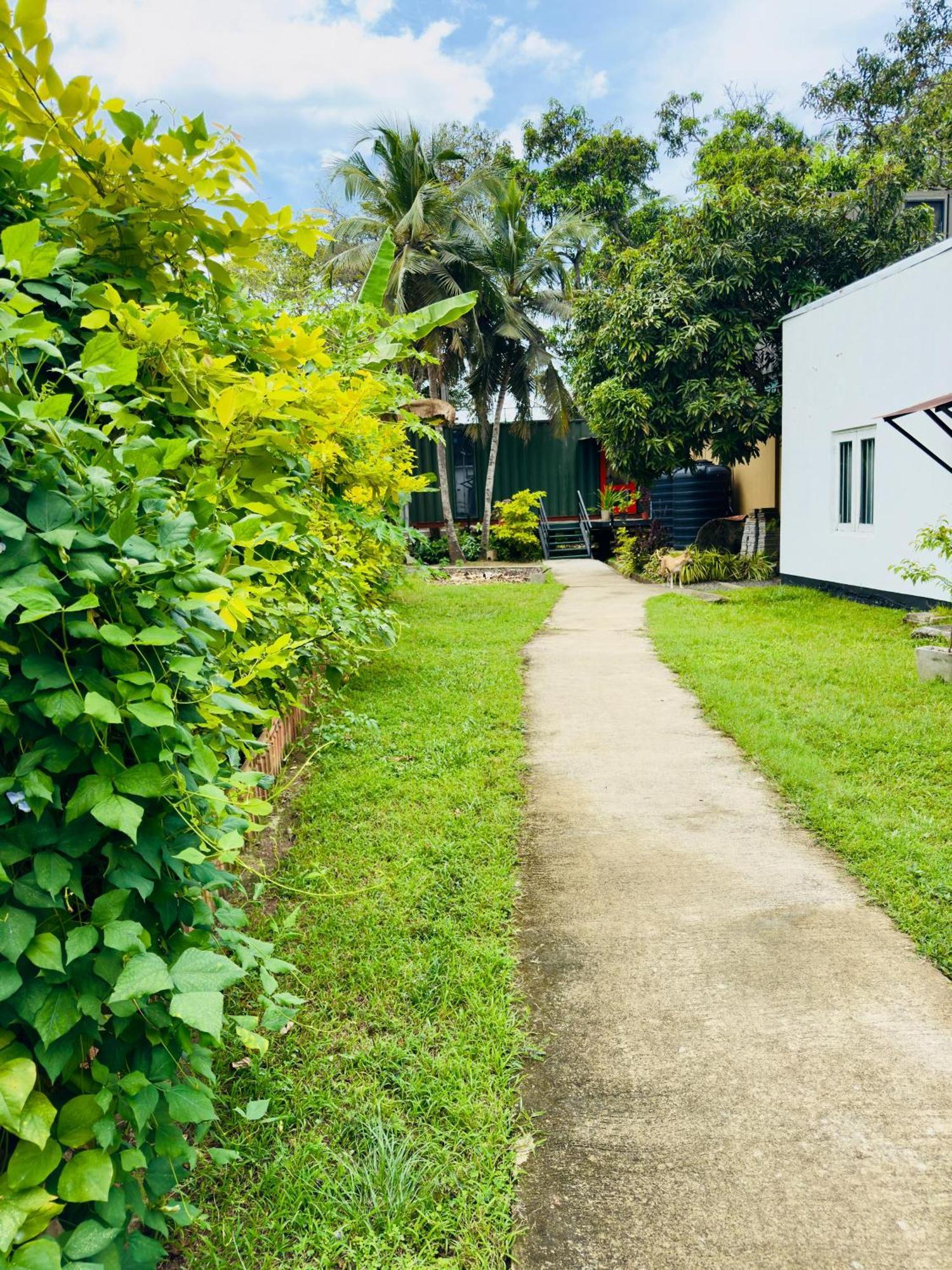Traveler'S Haven Hostel At Colombo Intl Airport Katunayaka Exterior foto